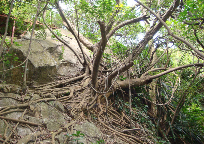 清远市清城区大帽山牛鱼嘴